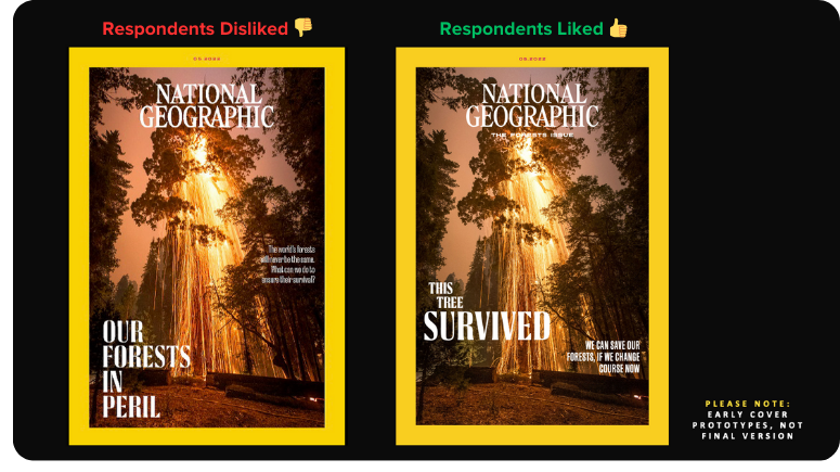 National Geographic Case Study Image